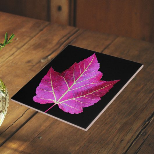 Rode herfst esdoornblad op zwarte achtergrond tegeltje