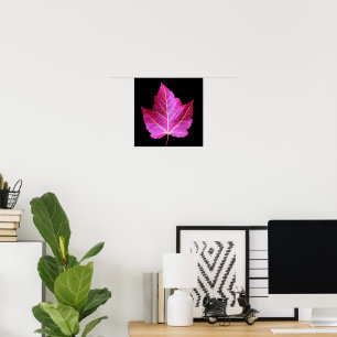 Rode herfst esdoornblad op zwarte bloem poster