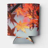 Rode Herfst in de herfst laat een mazelboom over Blikjeskoeler (Voorkant)