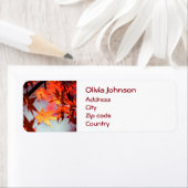 Rode Herfst in de herfst laat een mazelboom over Etiket (Insitu)