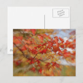 Rode herfst laat Abstracte verf over Briefkaart (Voorkant / Achterkant)