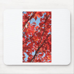 Rode Herfst Muismat