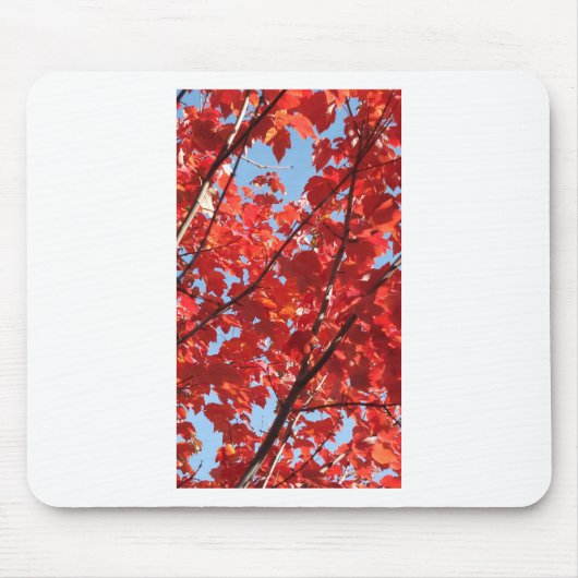 Rode Herfst Muismat (Voorkant)