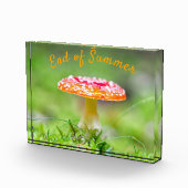 Rode herfst van de paddenstoel Einde zomer Fotoblokken (Rechts)