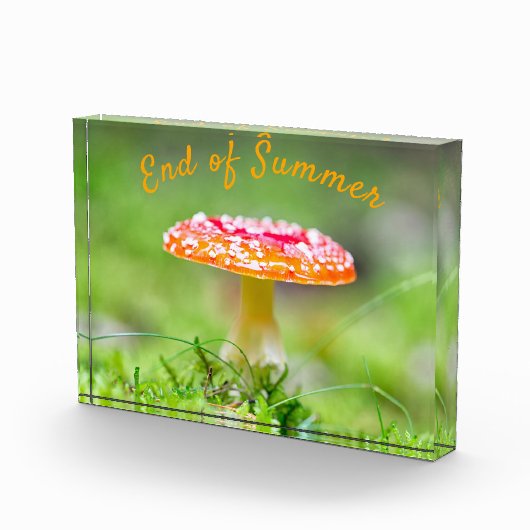 Rode herfst van de paddenstoel Einde zomer Fotoblokken (Rechts)