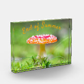 Rode herfst van de paddenstoel Einde zomer Fotoblokken (Links)