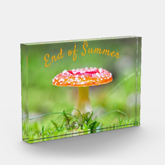 Rode herfst van de paddenstoel Einde zomer Fotoblokken (Links)