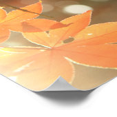 Rode herfstappelbladeren poster (Hoek)