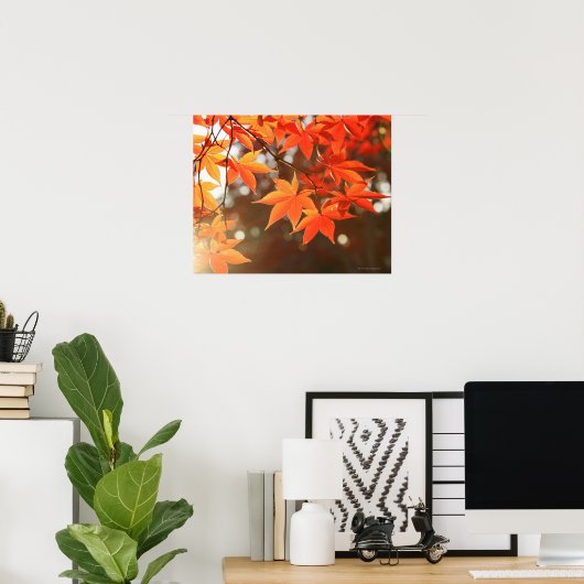 Rode herfstappelbladeren poster (Thuiskantoor)