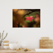 Rode herfstblad natuurfoto poster (Keuken)