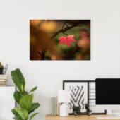 Rode herfstblad natuurfoto poster (Thuiskantoor)