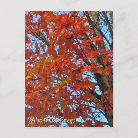 Rode herfstbladeren briefkaart (Voorkant)