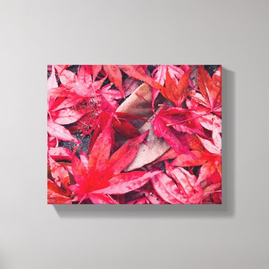 Rode herfstbladeren canvas afdruk (Voorkant)