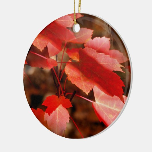 Rode herfstbladeren Natuur Ornament (Links)