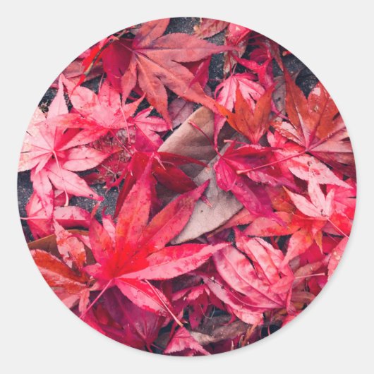 Rode herfstbladeren ronde sticker (Voorkant)