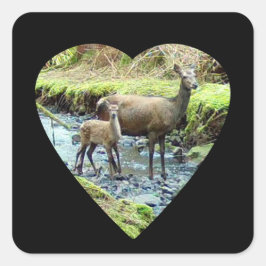 Rode Herten Doe en Baby Herten Vierkante Sticker