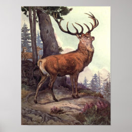 Rode herten door Winifred Austen, Oude wilde diere Poster