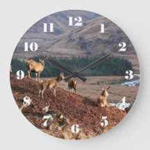 Rode herten in Glen Etive, Highlands of Scotland