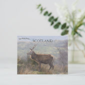 Rode herten in Islay Schotland Briefkaart (Staand voorkant)