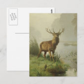 Rode herten schilderij briefkaart (Voorkant / Achterkant)