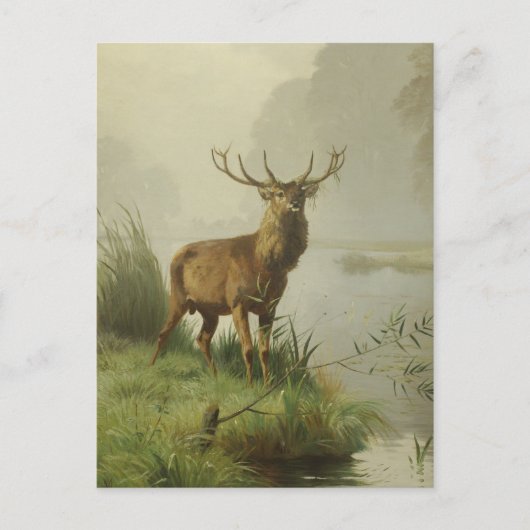 Rode herten schilderij briefkaart (Voorkant)