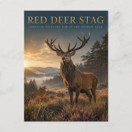 Rode hertenbok Schotse hooglandweide DIEREN Briefkaart