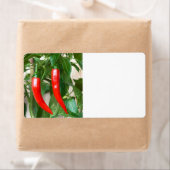 Rode hete peper etiket (Insitu)