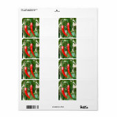 Rode hete peper etiket (Full Sheet)