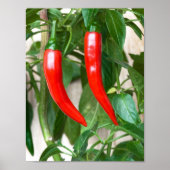 Rode hete peper poster (Voorkant)