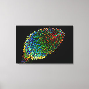 RODE HETE POKER 24x36 Canvas Afdruk