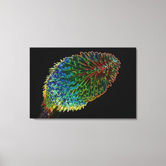 RODE HETE POKER 24x36 Canvas Afdruk (Voorkant)