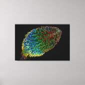 RODE HETE POKER 32x48 Canvas Afdruk (Voorkant)