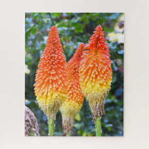 Rode hete pokerbloemen legpuzzel