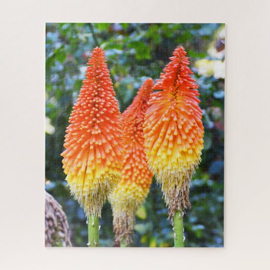 Rode hete pokerbloemen legpuzzel (Verticaal)