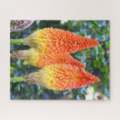 Rode hete pokerbloemen legpuzzel (Horizontaal)