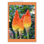 Rode hete-pokerblokkaart (Voorkant)