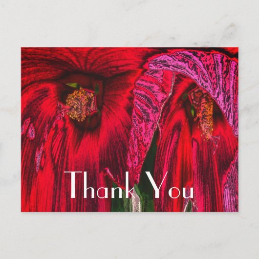 Rode Hibiscus Abstracte Bloemige Bedankkaart Briefkaart (Voorkant)