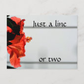 Rode Hibiscus Bloem Fotografische Botanische Briefkaart (Voorkant)