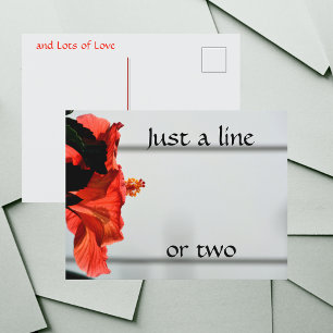 Rode Hibiscus Bloem Fotografische Botanische Briefkaart