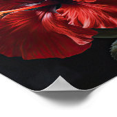 Rode Hibiscus Bloem Kunstprint Poster (Hoek)