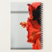 Rode Hibiscus Bloem Mooie Plannen  Planner (Achterkant)