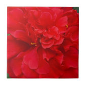 Rode hibiscus-bloem tegeltje (Voorkant)