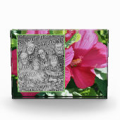 Rode Hibiscus Bloem Voeg je eigen Fotoblokken (Voorkant)