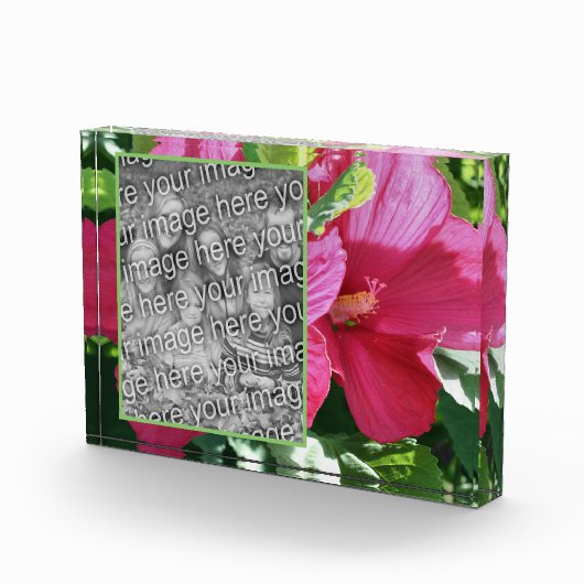 Rode Hibiscus Bloem Voeg je eigen Fotoblokken (Rechts)