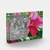 Rode Hibiscus Bloem Voeg je eigen Fotoblokken (Links)