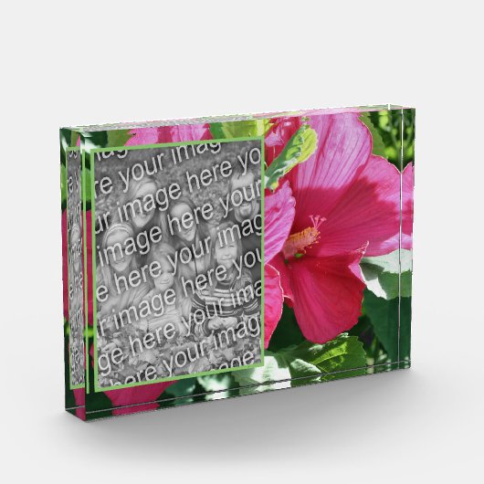 Rode Hibiscus Bloem Voeg je eigen Fotoblokken (Links)