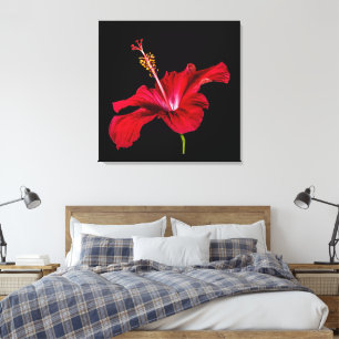 Rode Hibiscus Bloem Zijaanzicht Canvas Afdruk