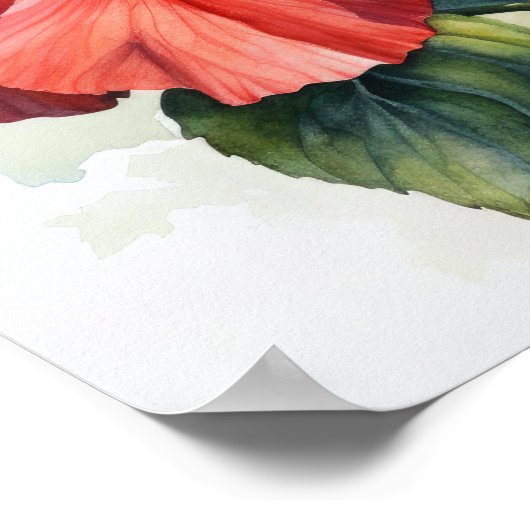 Rode Hibiscus Bloemen Art Print Poster (Hoek)