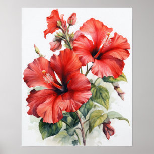 Rode Hibiscus Bloemen Art Print Poster
