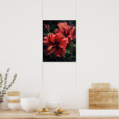 Rode Hibiscus Bloemen Art Print Poster (Keuken)